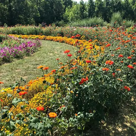Maison Tichadou Сasa de vacaciones Chalabre